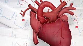 Main Signssymptom of Heart Diseaseमुटु रोगका प्रमुख १४ लक्षणहरु [upl. by Eirhtug478]