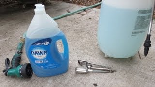 IMPROVED Soapy Water Insecticide Spray Dawn Dish Soap [upl. by Parnell688]