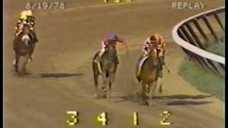 Affirmed vs Alydar  1978 Travers Stakes Final Meeting [upl. by Ostler]