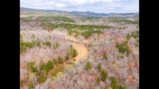 196 Acres Clay Co Alabama [upl. by Dunston308]