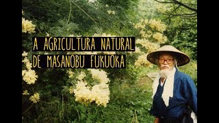 A Agricultura Natural de Masanobu Fukuoka [upl. by Zaraf]