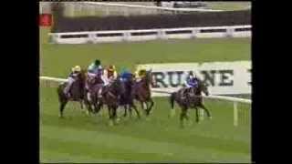 2002 Rothmans Royals St Leger Stakes [upl. by Prissy579]