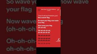 wavin flag song [upl. by Bivins]