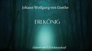 Johann Wolfgang von Goethe  Erlkönig [upl. by Pilihp]