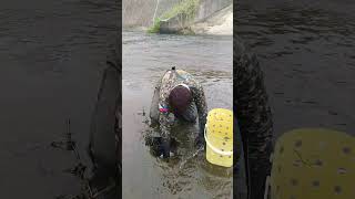 Sinkhole lot of fish trapped amazing 100kview [upl. by Tadd777]