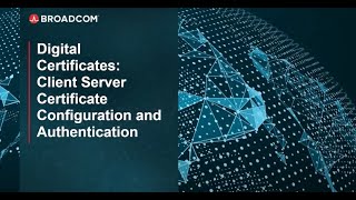 Client Server Certificate Configuration and Authentication [upl. by Egoreg377]
