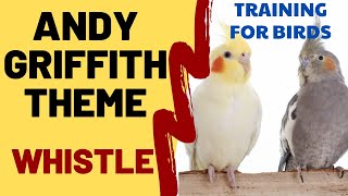 THE ANDY GRIFFITH SHOW THEME WHISTLE  Cockatiel Singing Training  Bird Whistling Practice [upl. by Surdna786]