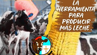 LA HERRAMIENTA PARA PRODUCIR MÁS LECHE [upl. by Revned]