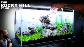 The Rocky Hill Tank Iwagumi w Vietnamese Minnows Planted Tank Aquascape Tutorial [upl. by Suilienroc]