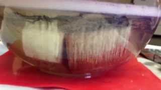 Stabilising wood using thermocure resin in a vacuum chamber [upl. by Waldos790]