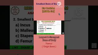 RRB Pharmacist exam preparation notes 2024 Anatomy smallest bone Stapes [upl. by Imugem]