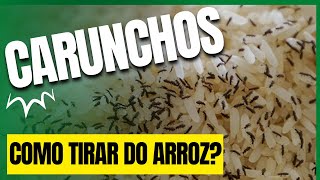 COMO TIRAR BICHO DO ARROZ  CARUNCHO COM CALOR DO FOGO [upl. by Aneez]