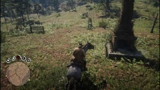 poisonous trail treasure hunt RDR2 2000 [upl. by Kenay]