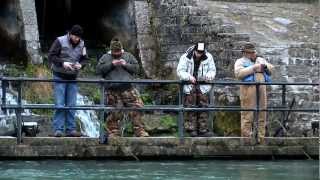 Discover trout fishing in Missouri [upl. by Fowkes]