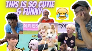 BTS being partners with dogs [upl. by Catherine626]