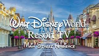 Disney Resort TV  Disney World Main Street Ambience  Beautiful Clouds  WDW Today Channel [upl. by Aneerehs54]