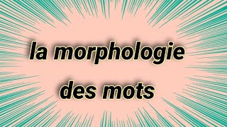 la morphologie des mots [upl. by Acceb]