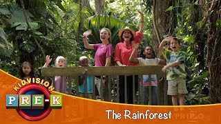 Rainforest  Virtual Field Trip  KidVision PreK [upl. by Oiretule]