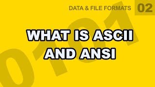 Data File Formats 02  What is ASCII and ANSI [upl. by Aube]