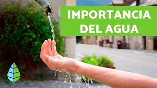 IMPORTANCIA AGUA 💧 ¿Cuál es la IMPORTANCIA del AGUA [upl. by Rider]