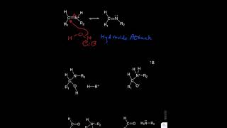 Hydrolysis of a Schiff Base [upl. by Jacquie]