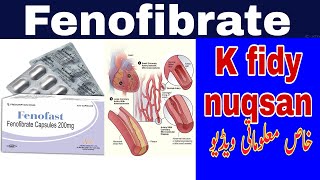 Fenofibrate tablet uses and side effects review urduhindi [upl. by Niatirb]