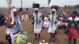 Xhosa tradtional healers singing and Dancing [upl. by Yrkcaz]