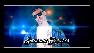 HEESTII SHIDADII JACEYLKA 2017 ABDIKADIR SHIKSHIK  OFFICIAL MUSIC VIDEO [upl. by Clovah]