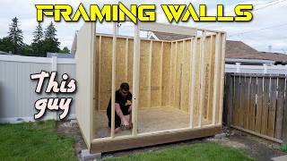 How to Frame Shed Walls by yourself  plans available [upl. by Fedak]