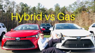 2020 Corolla Hybrid LE vs 2020 Corolla LE You decide who wins [upl. by Doowle765]