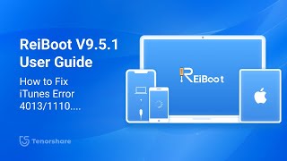 Tenorshare Reiboot iOS 18 Guide How to Fix iTunes Error 40131100 [upl. by Fitz]