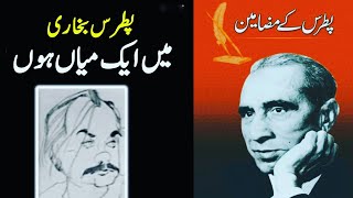 Mein Ek Mian Hun  Patras Bukhari  Patras K Mazameen  Urdu Audio Story  Urdu Adab  Qissa Diary [upl. by Yleoj]