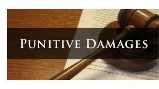 500000 Punitive Damages Employer Caused Criminal Charges amp Withheld Evidence [upl. by Anawaj]