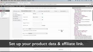 Build Datafeed Affiliate Stores With WordPress  Tutorial [upl. by Asserat647]