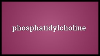 Phosphatidylcholine Meaning [upl. by Canning]