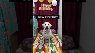 1st Birthday glimpse of Dora🐶💐🎂😘 happybirthday [upl. by Syxela]