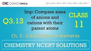 Classification of Elements Q313 Chapter 3 CHEMISTRY NCERT Solutions Class 11 [upl. by Gemma]