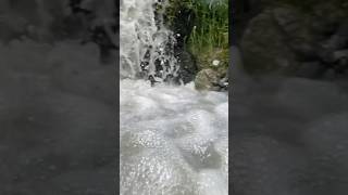 Waterfall at Saltoro village Siachen GBWaterfall nature status  travel aesthetic explore [upl. by Dukey760]