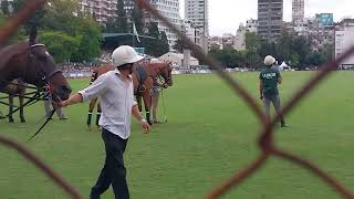 CAMPO ARGENTINO DE POLO EN PALERMO2024 [upl. by Trici]