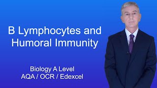 A Level Biology Revision quotB Lymphocytes and Humoral Immunityquot [upl. by Haikezeh]