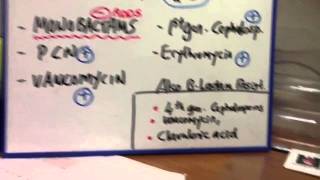 Aztreonam  Narrow spectrum gram negative rods [upl. by Guyon]