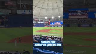 Tropicana Field Home of the Tampa Bay Rays rays tampa tampabay baseball tampabayrays stpete [upl. by Ttegirb]