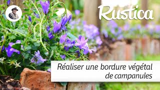 Réaliser une bordure de campanules [upl. by Auginahs57]