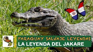 Paraguay Salvaje Leyenda del Jakare [upl. by Lanette]