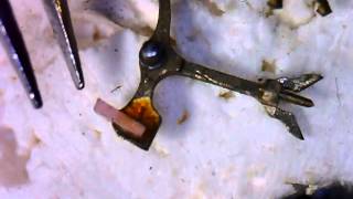 Watch repair Fix o Drop experiment AKA Epi Kote AKA EPILAME Rolex [upl. by Gosney255]