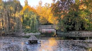 Stadtpark Steglitz  BerlinSteglitz [upl. by Teddie]