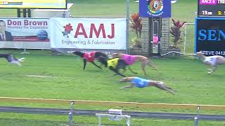 Capalaba07072024Race6 [upl. by Hotze]