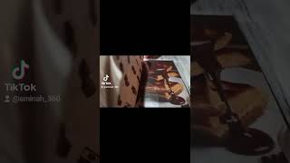 Butlers Chocolate Café  Death by Chocolate amp Cheesecake So Good  Punjabi Narration [upl. by Karil]