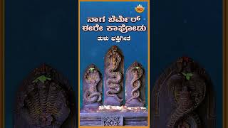 ನಾಗ ಬೆರ್ಮೆರ್ ಈರೇ ಕಾಪೋಡು  Audio Song  Naga Bermer Eere Kaapodu  Tulu Devotional SongSVD Tulu Nadu [upl. by Eitten989]