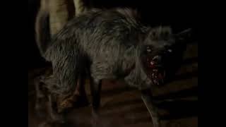 Grey Hyena Exorcist The Beginning Sounds [upl. by Firman]